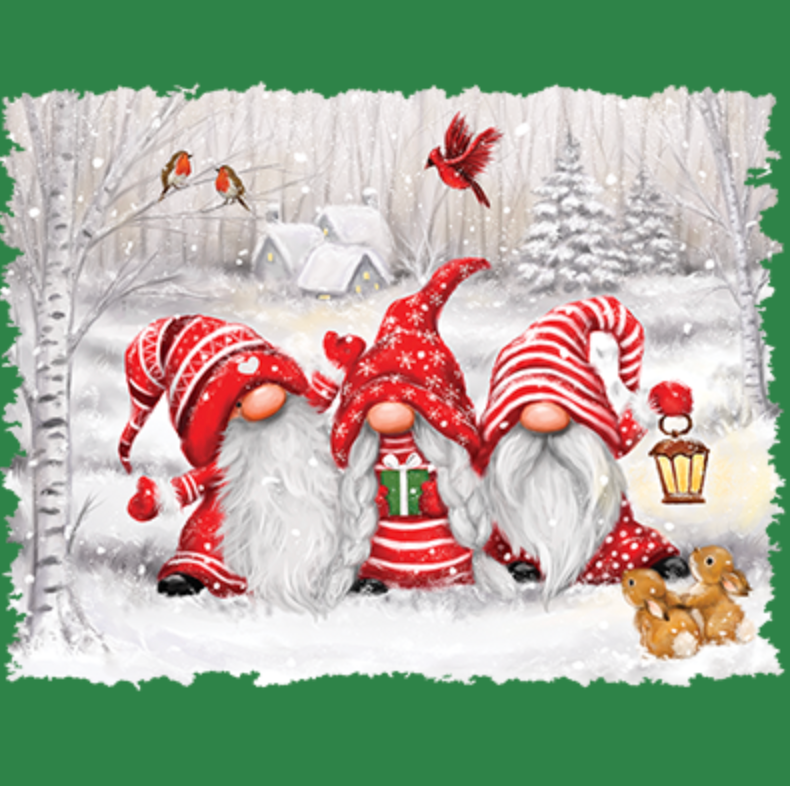 3 Christmas Gnomes
