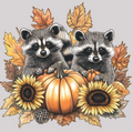 Fall Racoons